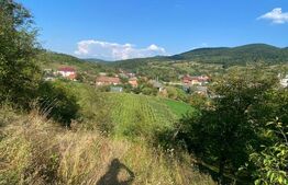 Casă de vânzare în Chiuiești – Comision 0% la cumpărator,8400 mp teren