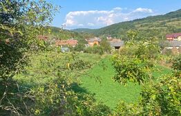 Casă de vânzare în Chiuiești – Comision 0% la cumpărator,8400 mp teren