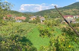 Casă de vânzare în Chiuiești – Comision 0% la cumpărator,8400 mp teren