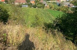 Casă de vânzare în Chiuiești – Comision 0% la cumpărator,8400 mp teren