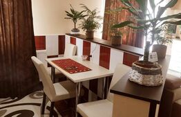 Apartament impecabil de 2 camere in Dalas