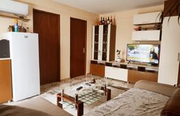 Apartament impecabil de 2 camere in Dalas