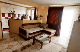 Apartament impecabil de 2 camere in Dalas