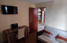 Apartament impecabil de 2 camere in Dalas