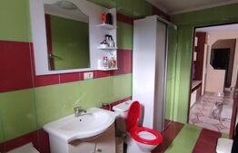 Apartament impecabil de 2 camere in Dalas