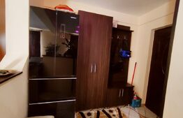 Apartament impecabil de 2 camere in Dalas