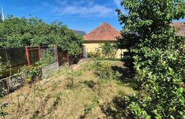 Casă centrală , 2 camere ,renovată