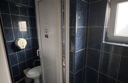 Spațiu comercial, 6 incaperi, 237 mp, zona Big