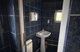 Spațiu comercial, 6 incaperi, 237 mp, zona Big