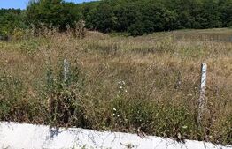 Teren 10200mp , toate utilitatile , la 10 km de DEJ