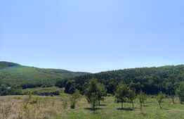 Teren de vânzare Gherla - 189076TV | BLITZ Dej | Poza2