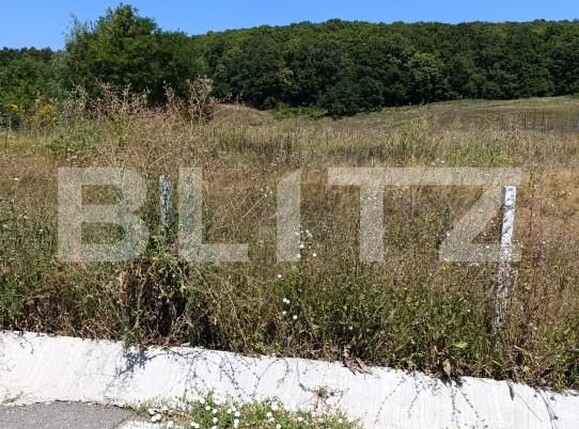 Teren de vânzare Exterior Vest - 163171TV | BLITZ Dej | Poza2