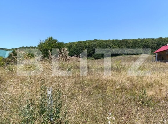 Teren de vânzare Exterior Vest - 163171TV | BLITZ Dej | Poza3