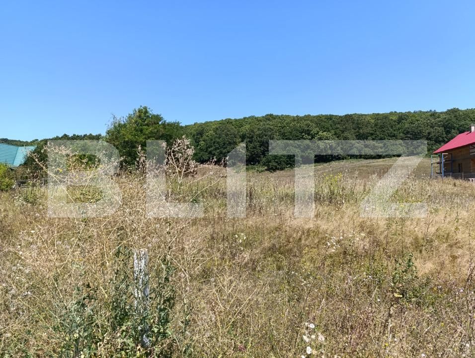 Teren de vânzare Exterior Vest - 163171TV | BLITZ Dej | Poza3