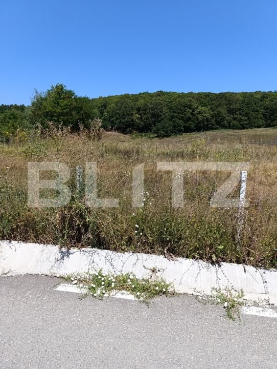 Teren de vânzare Exterior Vest - 163171TV | BLITZ Dej | Poza2