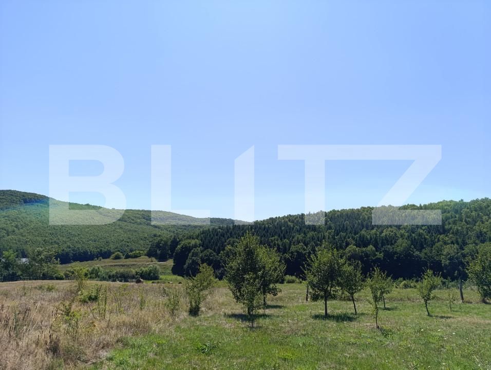 Teren de vânzare Exterior Vest - 163171TV | BLITZ Dej | Poza1