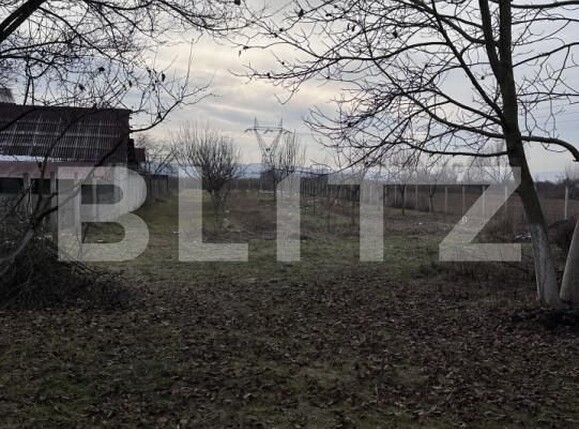 Casa de vânzare 5 camere Exterior Sud - 164097CV | BLITZ Dej | Poza21