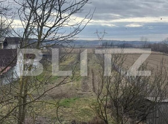 Casa de vânzare 5 camere Exterior Sud - 164097CV | BLITZ Dej | Poza23