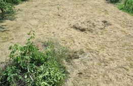 Casă de vânzare la roșu, Cășeiu – 250 mp utili și teren generos de 1.553 mp