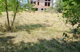 Casă de vânzare la roșu, Cășeiu – 250 mp utili și teren generos de 1.553 mp