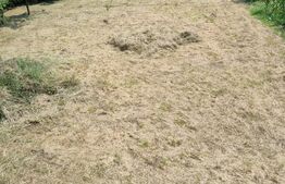 Casă de vânzare la roșu, Cășeiu – 250 mp utili și teren generos de 1.553 mp