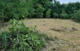 Casă de vânzare la roșu, Cășeiu – 250 mp utili și teren generos de 1.553 mp