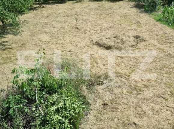 Casa de vânzare 4 camere Exterior Est - 164215CV | BLITZ Dej | Poza8