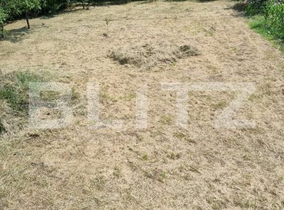 Casa de vânzare 4 camere Exterior Est - 164215CV | BLITZ Dej | Poza5