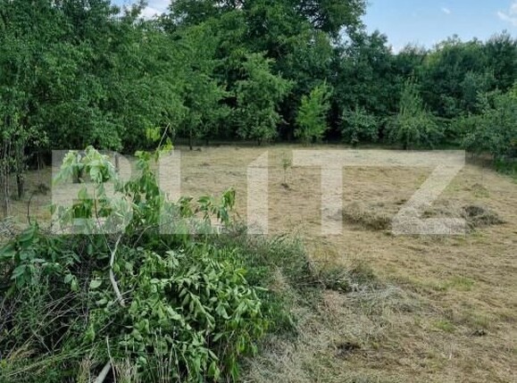 Casa de vânzare 4 camere Exterior Est - 164215CV | BLITZ Dej | Poza6