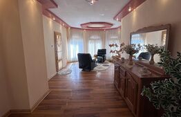 Casă spațioasă, 11 camere, 600 mp, teren 1450 mp, zona Lidl,