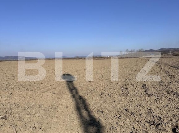 Teren de vânzare Exterior Est - 167688TV | BLITZ Dej | Poza1