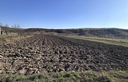 Teren de vânzare Fizesu Gherlii  - 186194TV | BLITZ Dej | Poza2