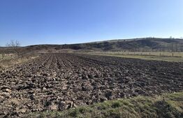 Teren intravilan 5.800 mp, potențial de parcelare-construcție, zona Samarghita