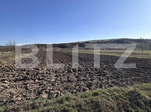 Teren de vânzare Exterior Est - 167689TV | BLITZ Dej | Poza2