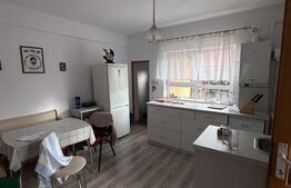 Casă de vânzare 3 camere 95 mp, gradină 519 mp, zona centrală