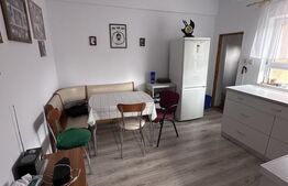 Casă de vânzare 3 camere 95 mp, gradină 519 mp, zona centrală