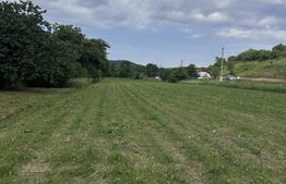 Teren intravilan, 5.800 mp, zona  Câțcău