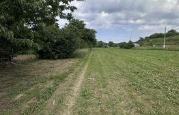 Teren intravilan, 5.800 mp, zona  Câțcău