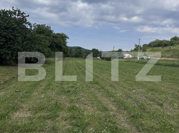 Teren de vânzare Exterior Est - 171576TV | BLITZ Dej | Poza5