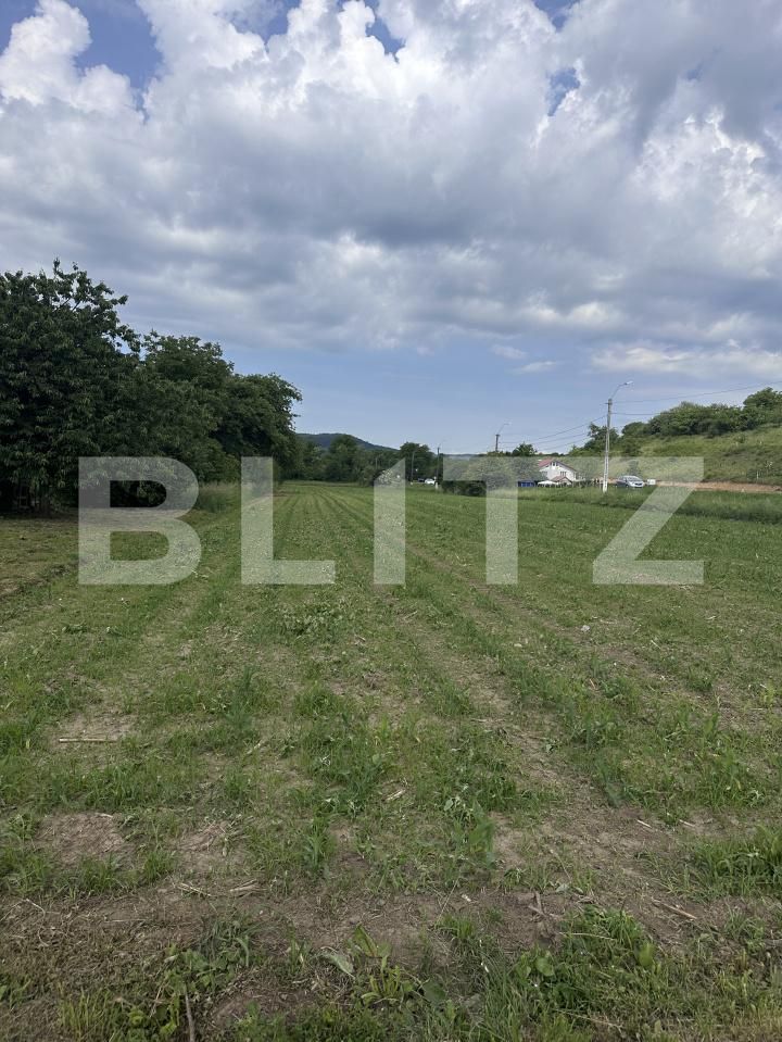 Teren de vânzare Exterior Est - 171576TV | BLITZ Dej | Poza5