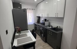 Apartament luminos,complet renovat , 2 camere | Mansardă | 40,49 mp 