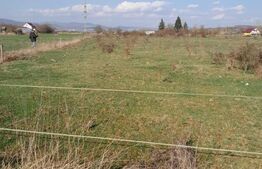 Teren intravilan 5000 mp, investiție într-o zonă în dezvoltare