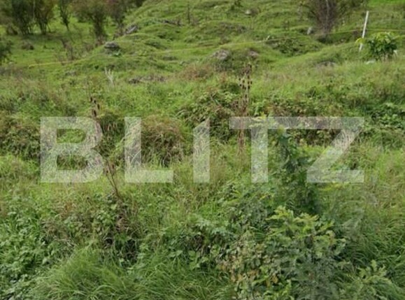 Teren de vânzare Exterior Est - 174507TV | BLITZ Dej | Poza2