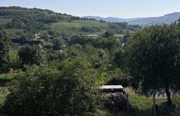 Casă cu potențial deosebit, 172 m² utili, teren 500 m², sat Buza ,Comision 0%