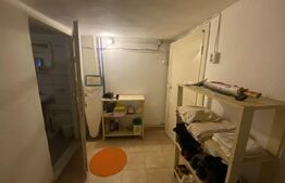 Casă spațioasă 350 mp utili, curte amenajată și garaj