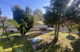 Casă spațioasă 350 mp utili, curte amenajată și garaj