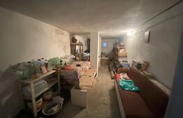 Casă spațioasă 350 mp utili, curte amenajată și garaj