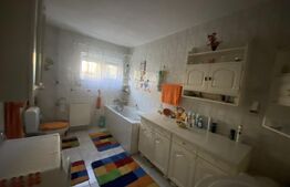 Casă spațioasă 350 mp utili, curte amenajată și garaj