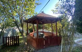 Casă spațioasă 350 mp utili, curte amenajată și garaj