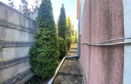 Casă spațioasă 350 mp utili, curte amenajată și garaj